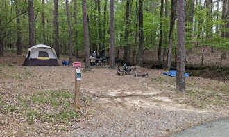 Camping near Caddo River Access RV Park: Daisy State Park Campground, New Melones Lake, Arkansas
