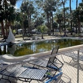 Review photo of Suncoast RV Resort by beth H., April 16, 2024