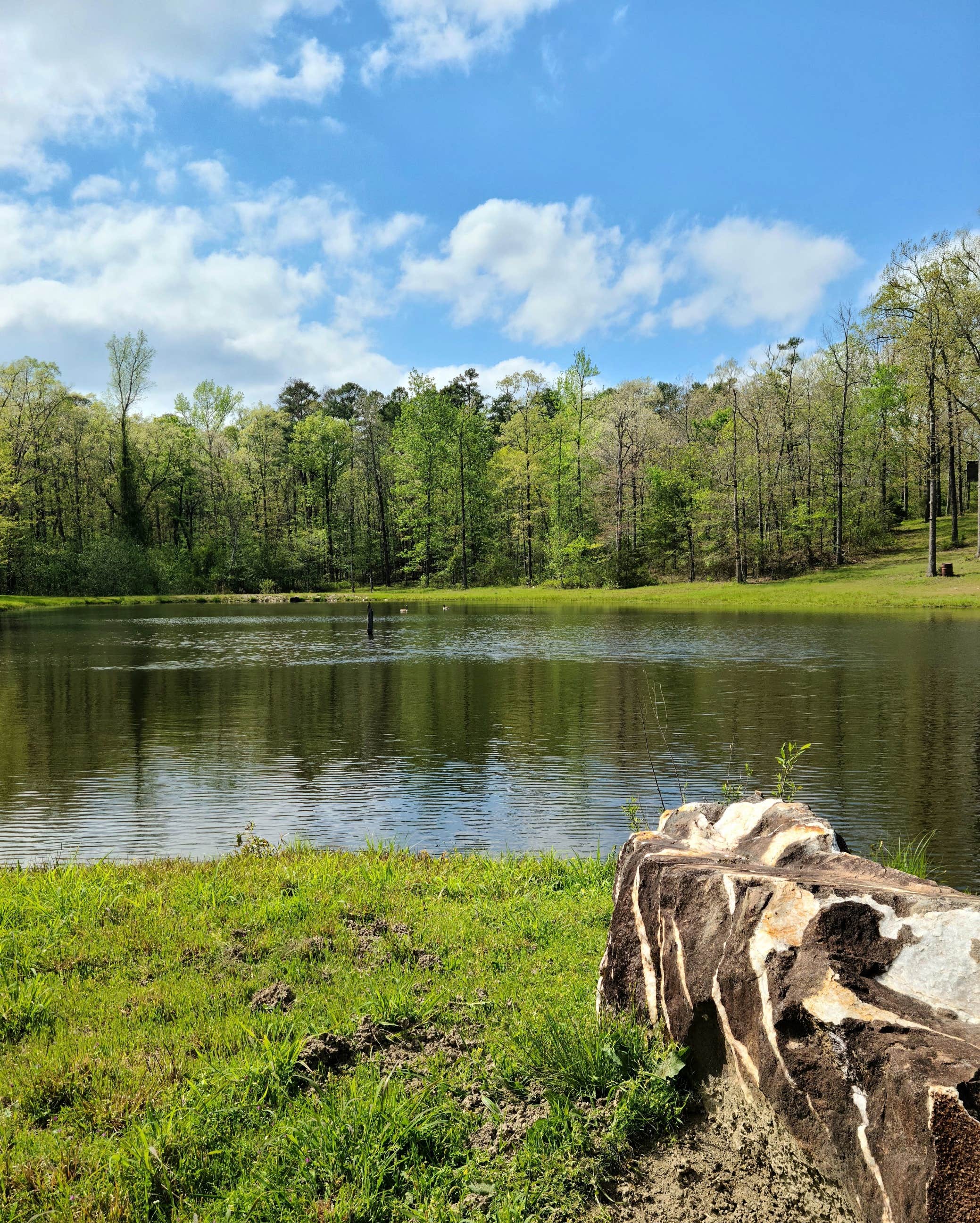 Camper submitted image from Goose Pond Road Camp - 3