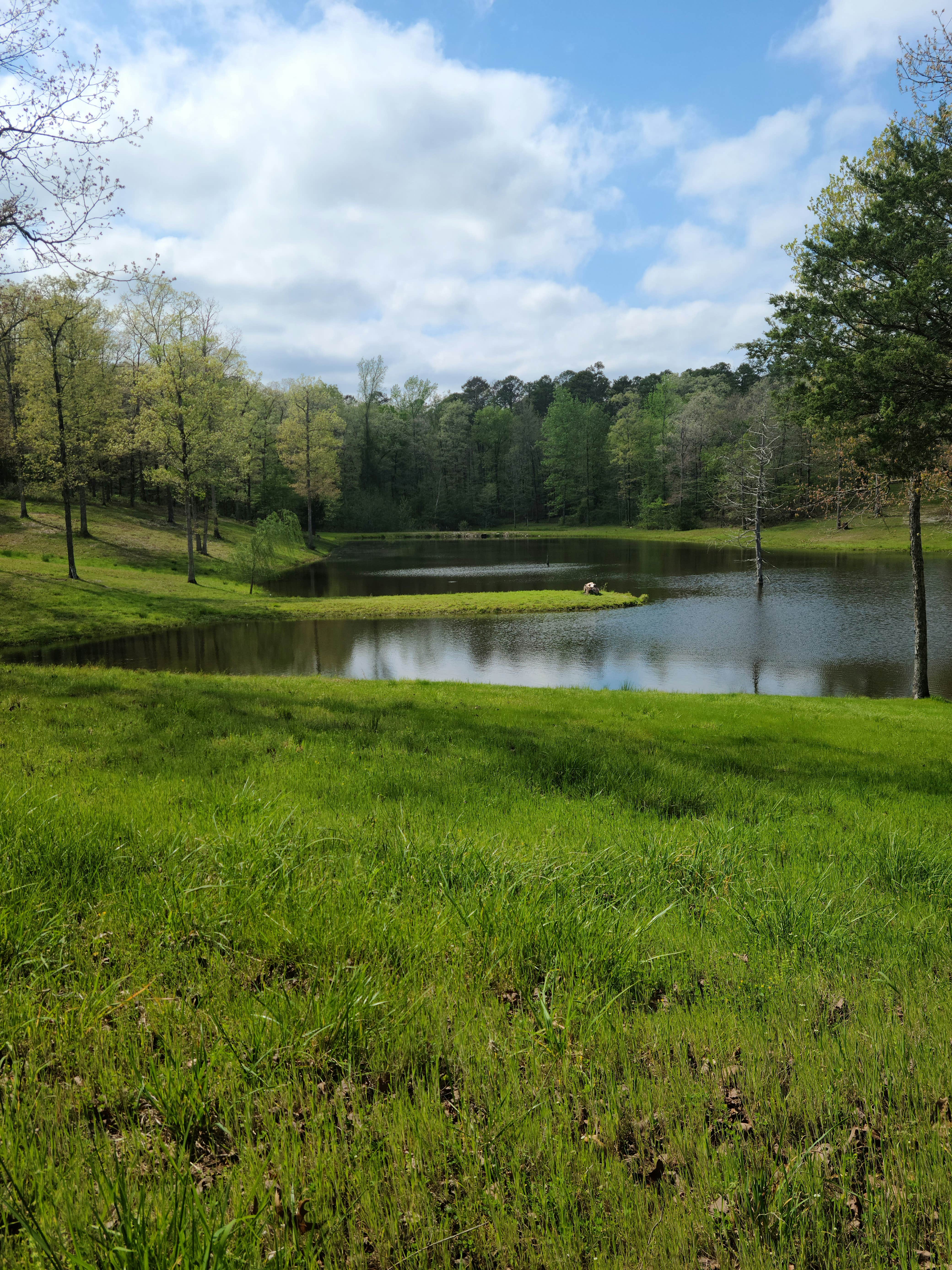 Camping near JB's RV Park & Campground: Goose Pond Road Camp, Hot Springs Village, Arkansas