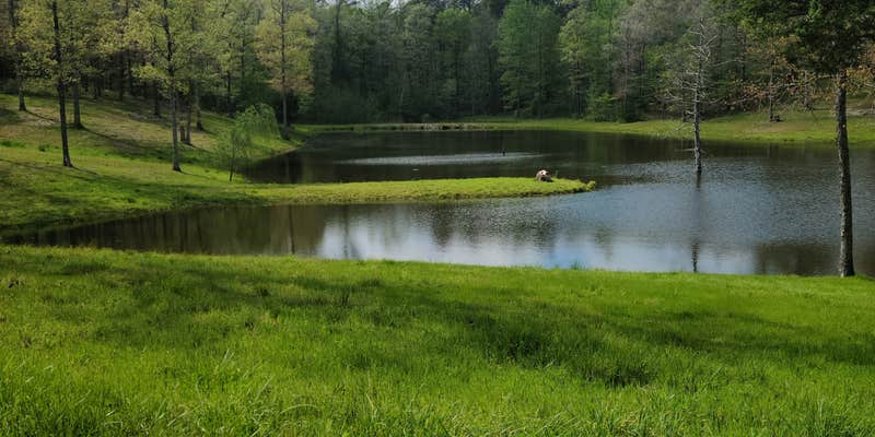 Camper submitted image from Goose Pond Road Camp