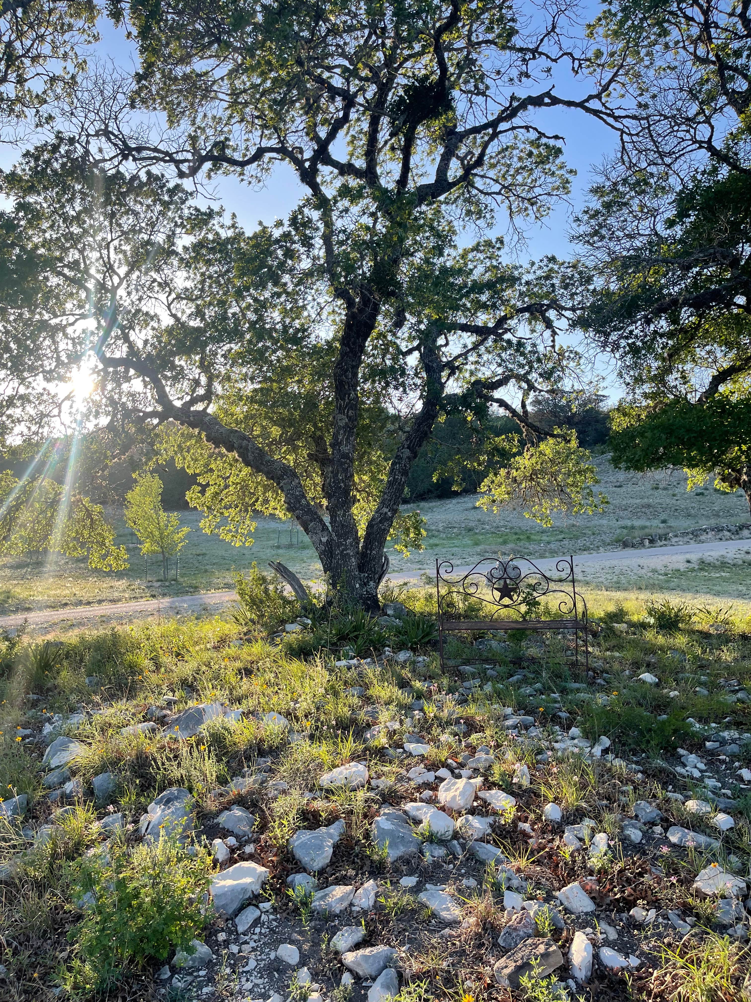 Camping near A Peace Of Heaven Cabins and RV Park, LLC: Rocky Top Retreat, Kerrville, Texas