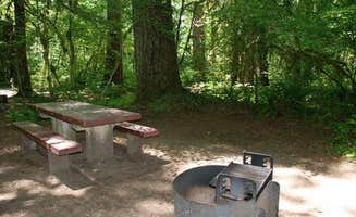 The Dyrt's photo at Paradise In Oregon near Willamette National Forest