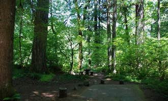 Camping near Horse Creek Group Campground: Paradise In Oregon, Mckenzie Bridge, Oregon
