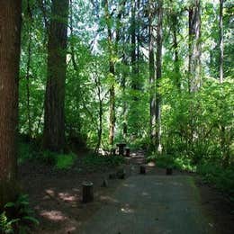 Public Campgrounds: Paradise In Oregon
