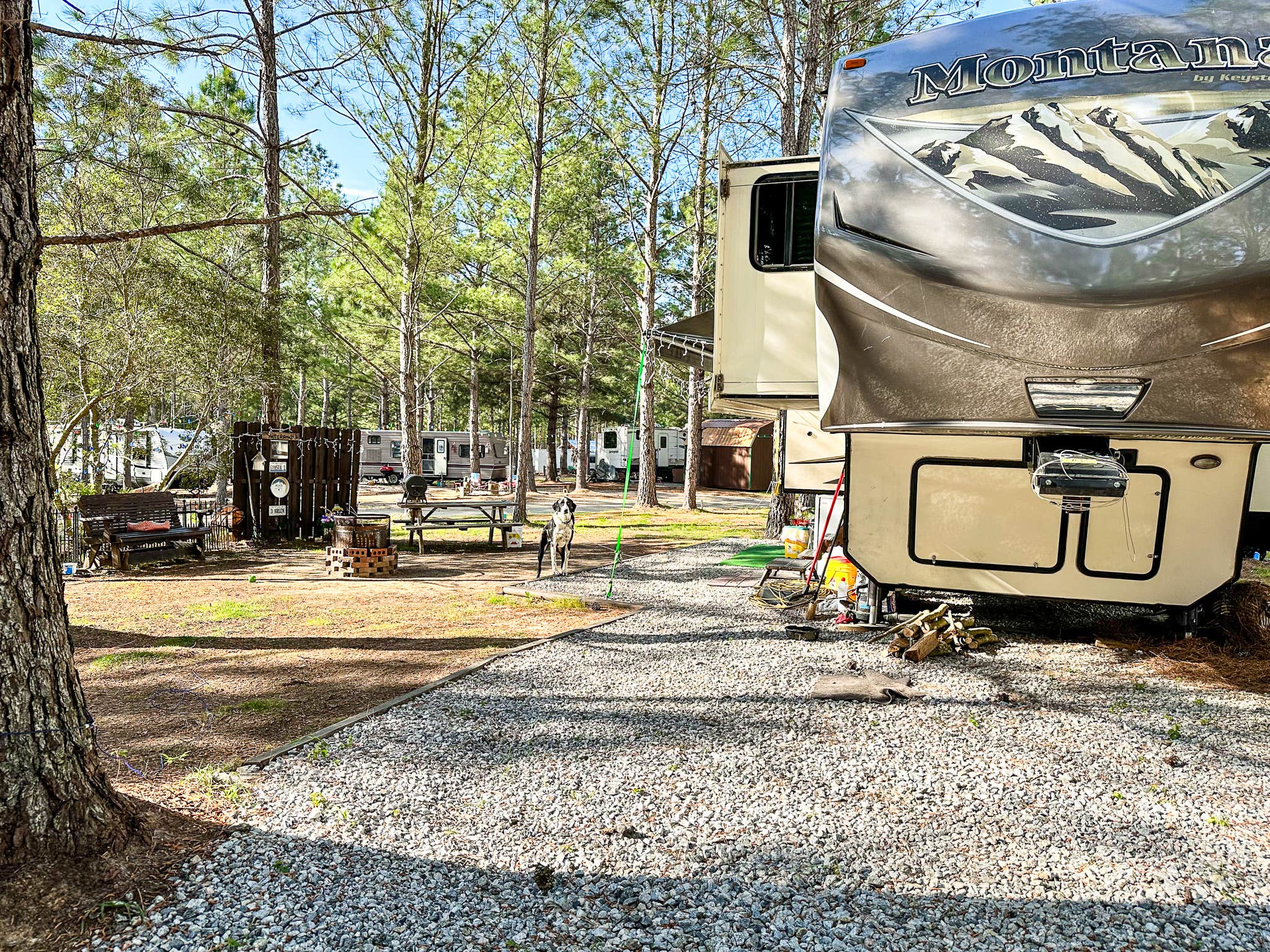 rick K.'s photo of camping with pets at Livin’ on Wheels Campground near Millen, GA