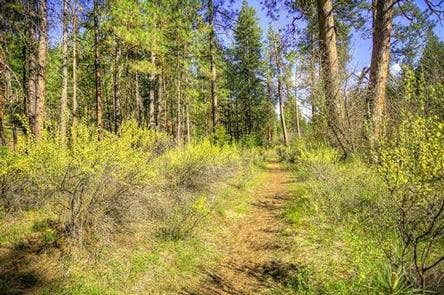 Camper submitted image from Pine Rest Campground - 2