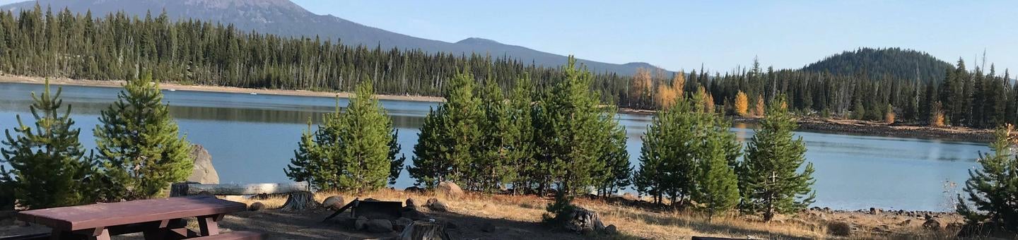 Camper submitted image from Point Campground - Deschutes - 3
