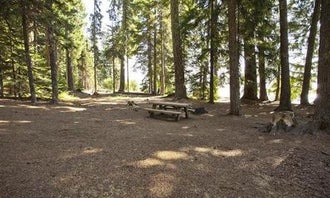 Camping near Waldo Lake Sno-Park: Princess Creek Campground, Crescent, Oregon