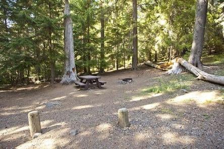 Camper submitted image from Princess Creek Campground - 2