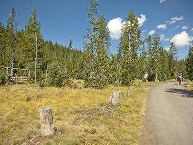 Camper submitted image from Quinn Meadow Horse Camp - 4