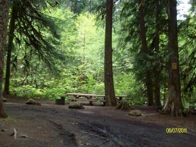 Camper submitted image from Willamette National Forest Red Diamond Group Campsite - 5