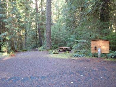 Camper submitted image from Willamette National Forest Red Diamond Group Campsite - 3