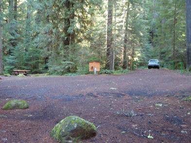 Camper submitted image from Willamette National Forest Red Diamond Group Campsite - 1