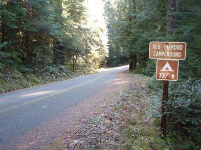 Camper submitted image from Willamette National Forest Red Diamond Group Campsite - 4