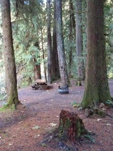 Camper submitted image from Willamette National Forest Red Diamond Group Campsite - 2