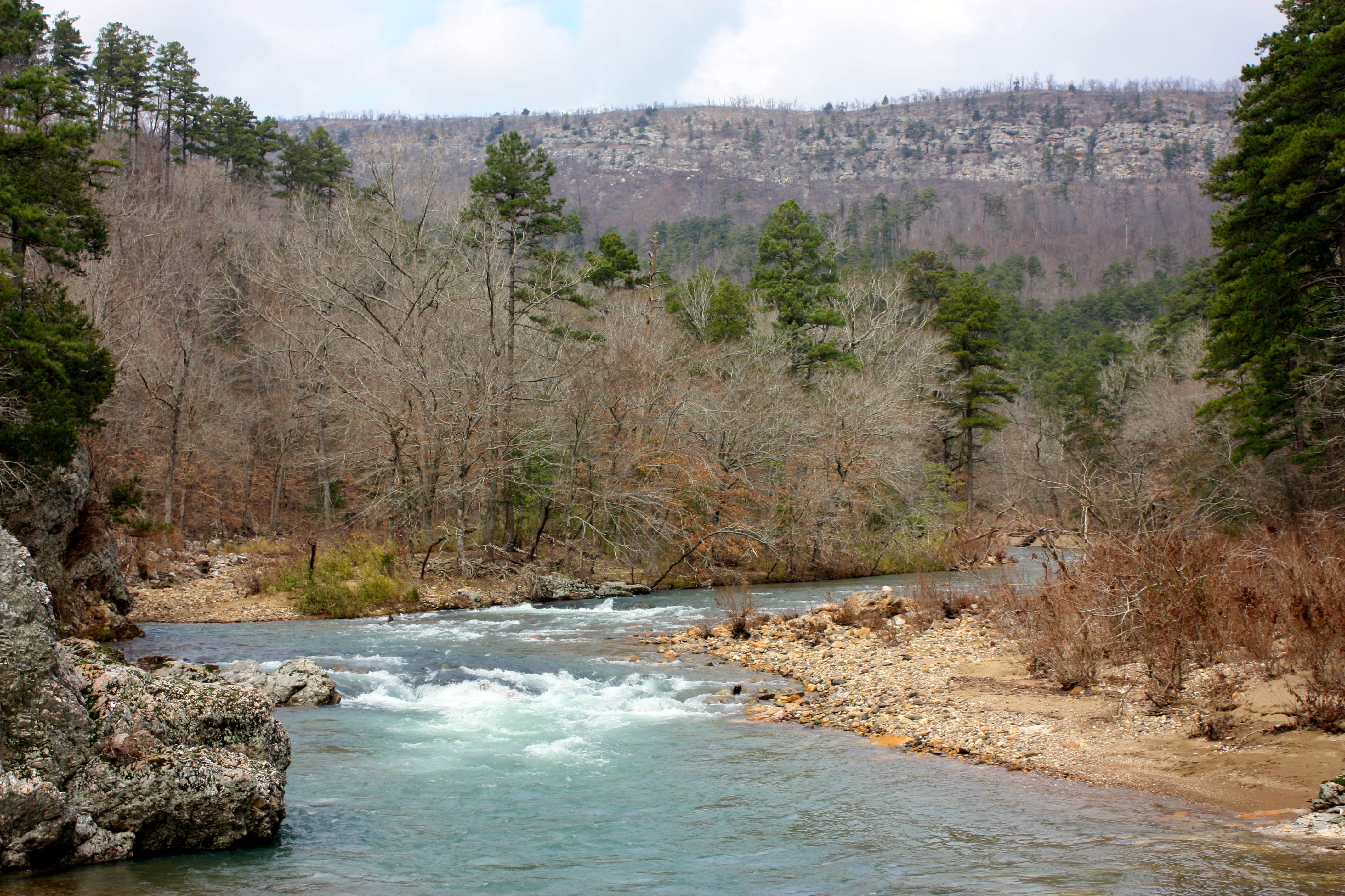 Camper submitted image from Albert Pike Recreation Area - 3