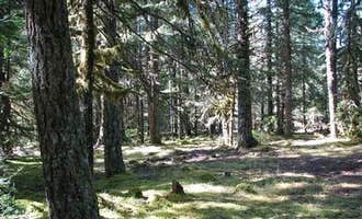 Camping near Cast Lake: Riley Horse Campground, Rhododendron, Oregon
