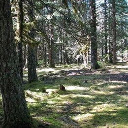 Public Campgrounds: Riley Horse Campground