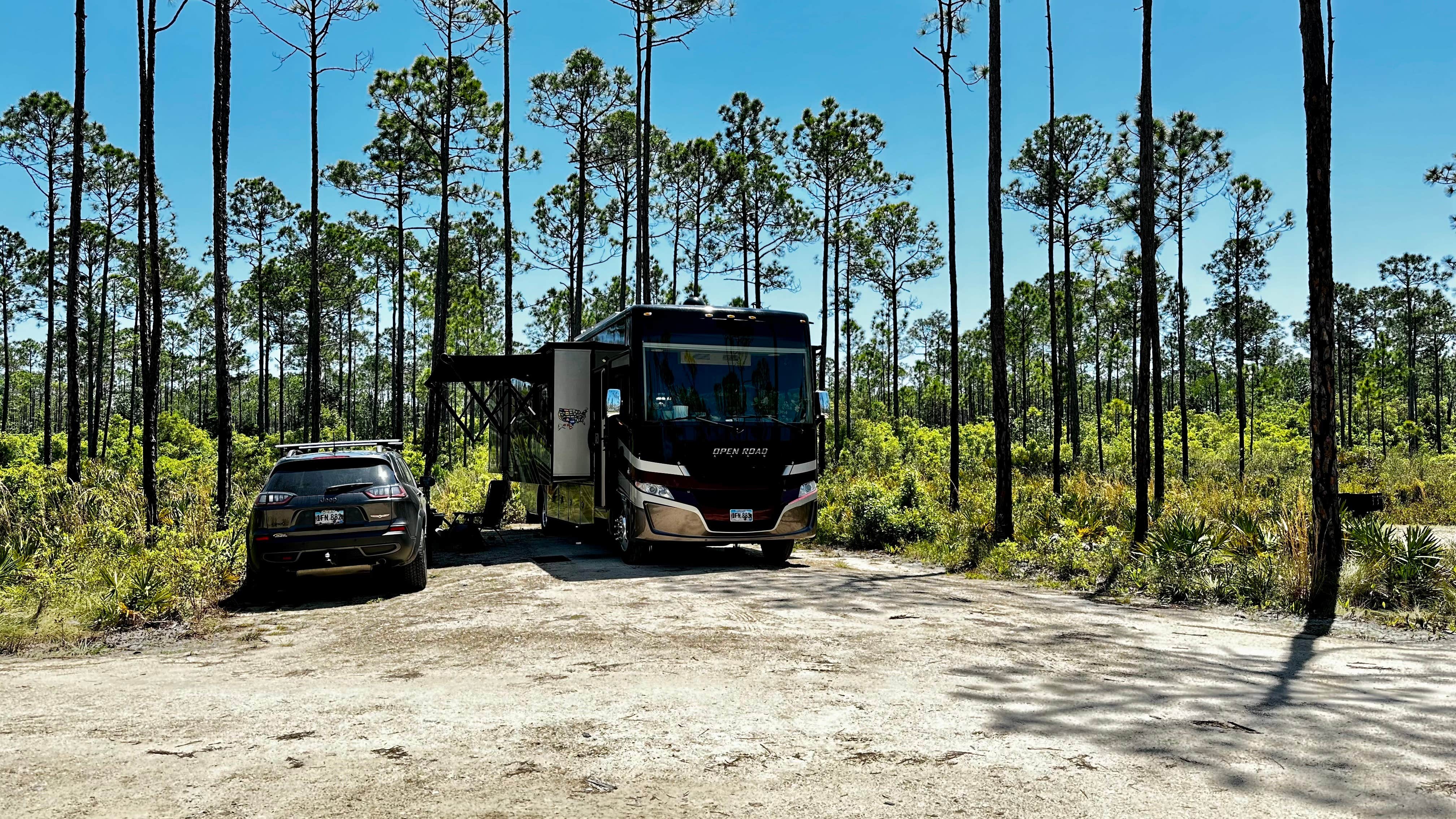 Camper-submitted photo at Tate's Hell State Forest High Bluff Primitive Campsites, FL near Eastpoint, FL