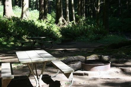 Camper submitted image from Rock Creek Campground - Siuslaw - 5