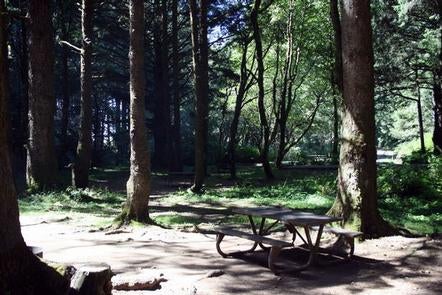 Camper submitted image from Rock Creek Campground - Siuslaw - 1