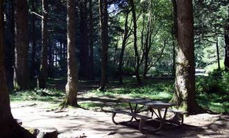Camping near Carl G. Washburne Memorial State Park Campground: Rock Creek Campground - Siuslaw, Yachats, Oregon