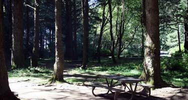 Rock Creek - Siuslaw
