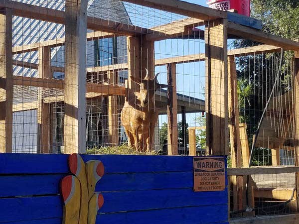 Camping near R Place RV Park and Campground: The Fabulous Bok Vegas Texas - Interactive Petting Zoo, Cabins, RV Park, Glamping, Tent Rentals and Campground, Neches, Texas