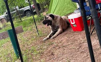 Courtney G.'s photo at The Fabulous Bok Vegas Texas - Interactive Petting Zoo, Cabins, RV Park, Glamping, Tent Rentals and Campground near Neches, TX