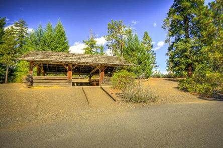 Camper submitted image from Scout Lake - 5