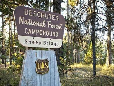 Camper submitted image from Sheep Bridge - 4
