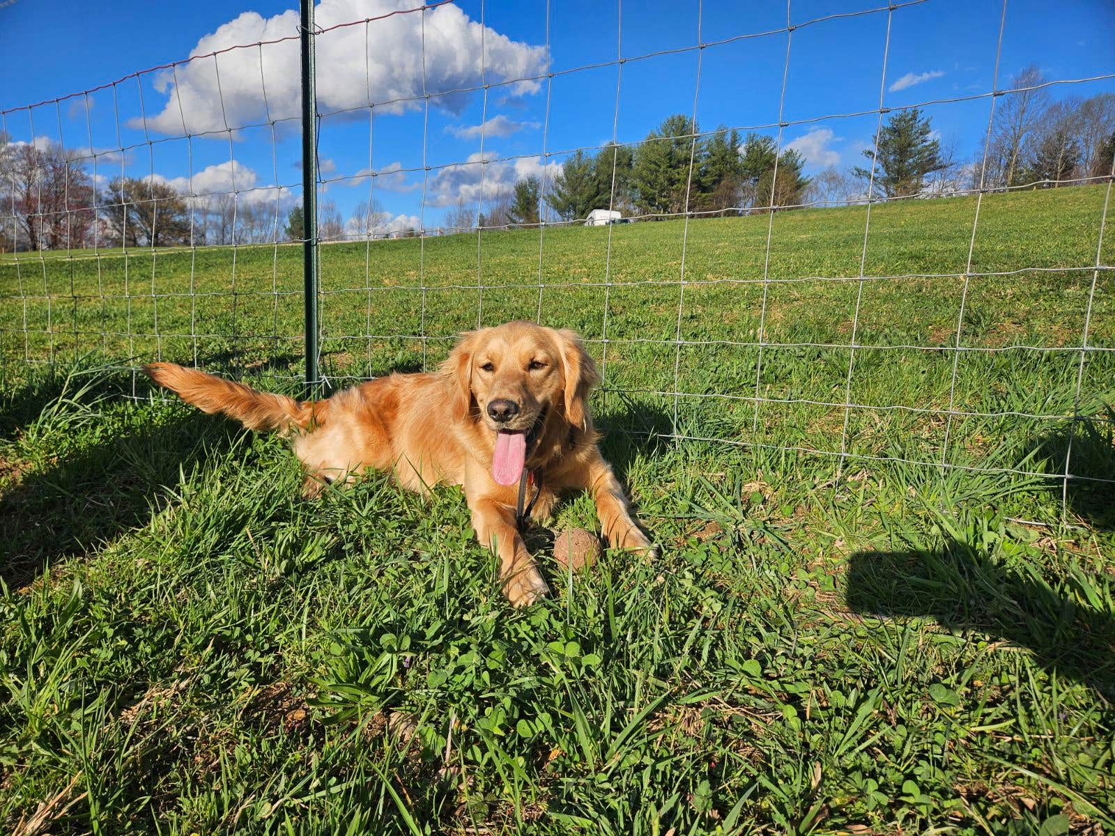Camper-submitted photo at Lake Haven Family Campground near Butler, TN