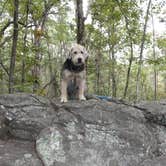 Review photo of Lake Sylvia Recreation Area by Katie K., September 13, 2016