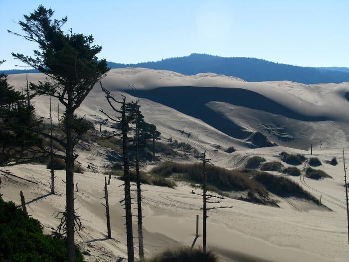 Shore pines in silhouette with large sand dune and blue hills in background.



Oregon Dunes National Recreation Area

Credit: USFS