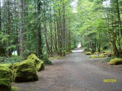 Camper submitted image from Willamette National Forest Slide Creek Campground - 5