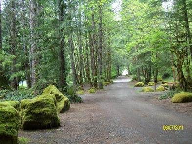 Camper submitted image from Willamette National Forest Slide Creek Campground - 4