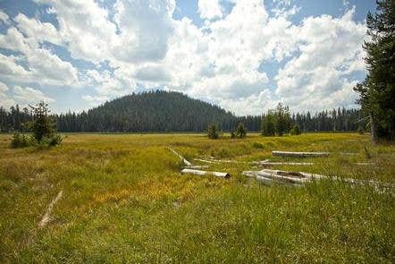 Camper submitted image from South Campground - Hosmer Lake (OR) - 2