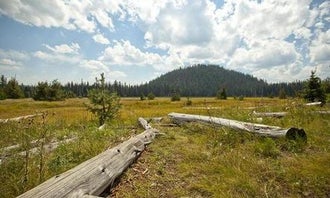South Campground - Hosmer Lake (OR)