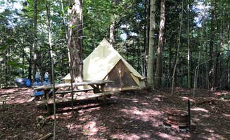 Adrienne & Morgan S.'s photo of a cabin at Sawdust FarmCamp near North Springfield, PA