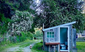 Wendy and John L.'s photo of camping with pets at Wuss Camp near Carlotta, CA