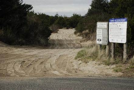 Camper submitted image from South Jetty Sand Camping - 4