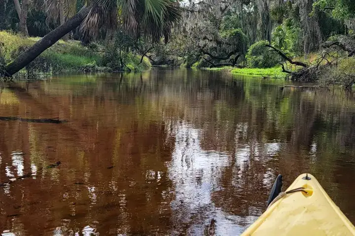 Camping near Palmetto Ridge Campground — Myakka River State Park: Costa Myakka, Myakka City, Florida