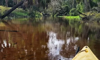 Camping near Big Flats Campground — Myakka River State Park: Costa Myakka, Myakka City, Florida