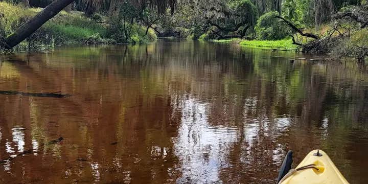 Camper submitted image from Costa Myakka