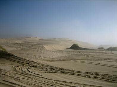 Camper submitted image from South Jetty Sand Camping - 1