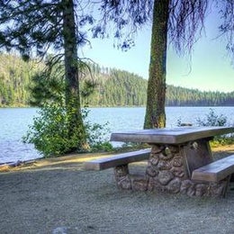 Public Campgrounds: South Shore Suttle Lake