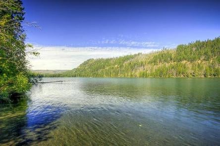 Camper submitted image from South Shore Suttle Lake - 3