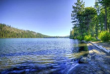 Camper submitted image from South Shore Suttle Lake - 2