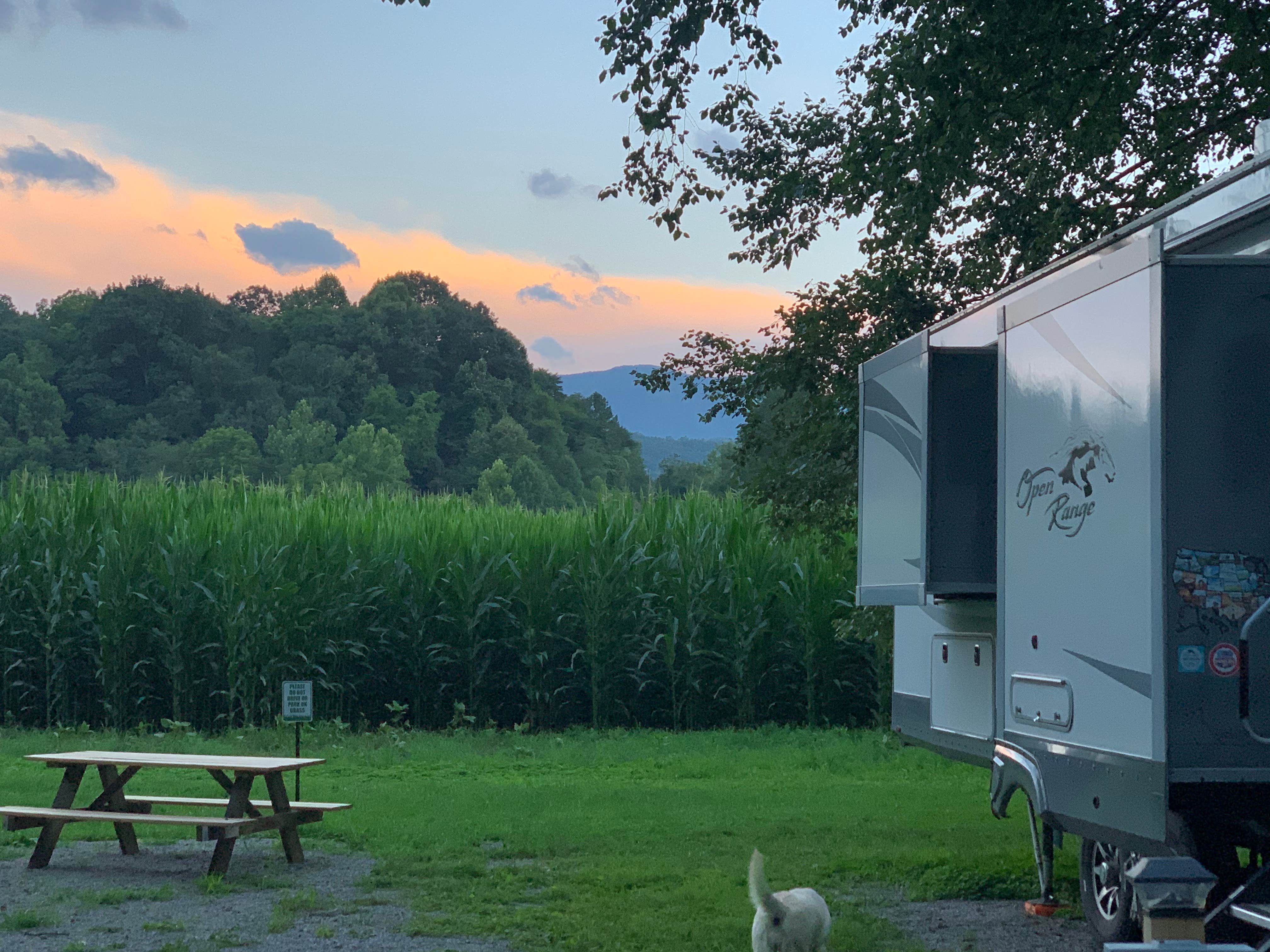 Debi D.'s photo at Riverhouse RV Resort & Campground near Canton, NC